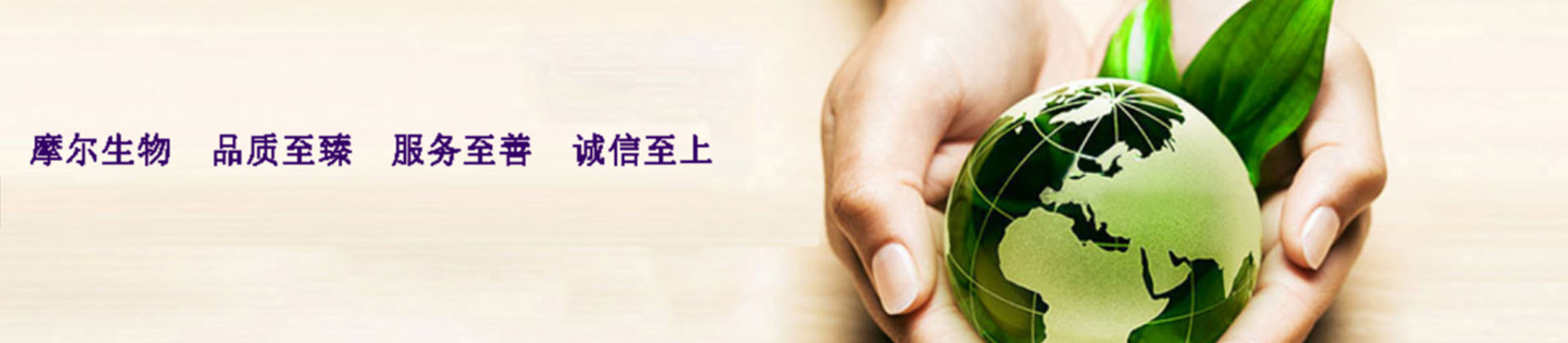 通栏图片